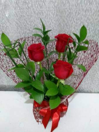 Arranjo com 03 Rosas Vermelhas Flores Naturais