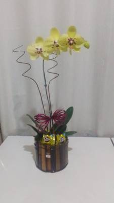 ORQUÍDEAS COM BOMBONS  / AMARELAS / 01 UNIDADE